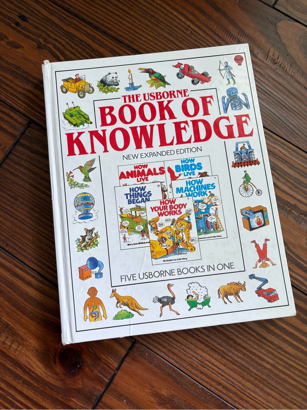 White Hardcover Kids Knowledge Book Usborne